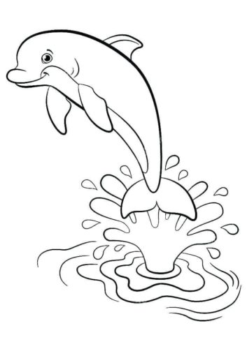 30 Free Dolphin Coloring Pages Printable