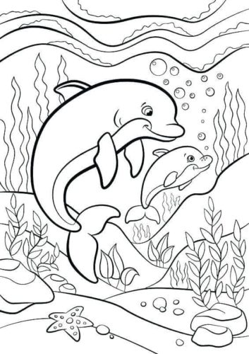 30 Free Dolphin Coloring Pages Printable