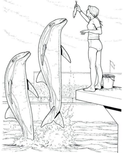 Girl Feeding The Dolphins