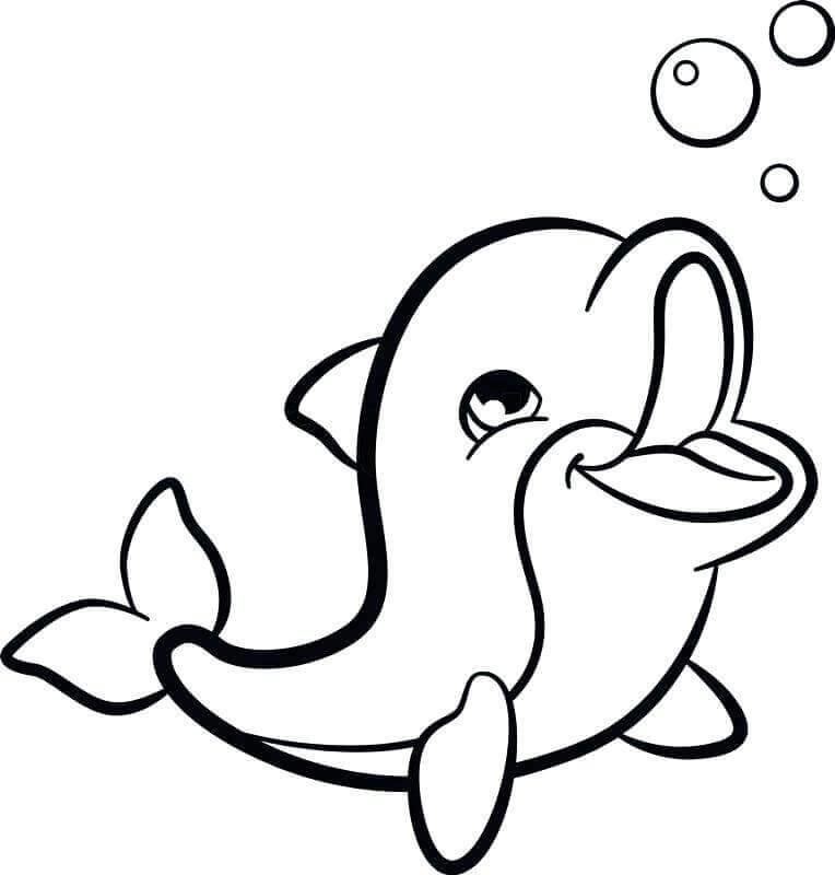 30 Free Dolphin Coloring Pages Printable