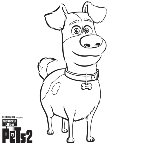 Free The Secret Life Of Pets 2 Coloring Pages Printable