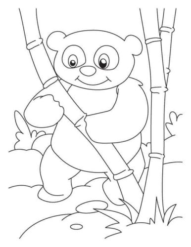 Free Panda Coloring Pages Printable