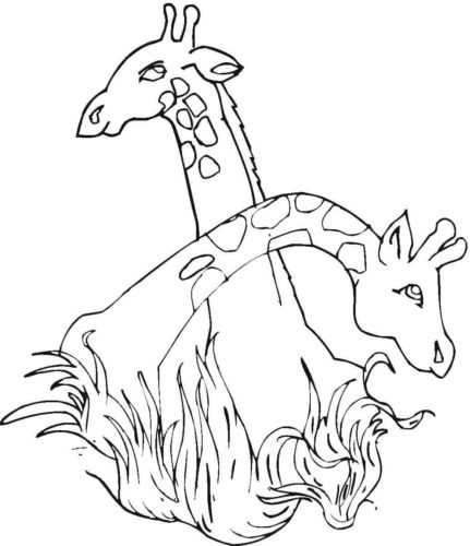 30 Free Giraffe Coloring Pages Printable