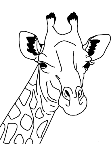 Giraffe Head Coloring Page