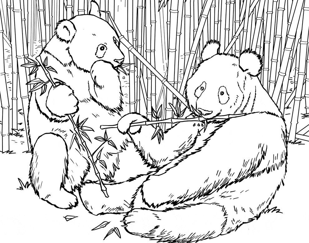 Panda Coloring Pages To Print