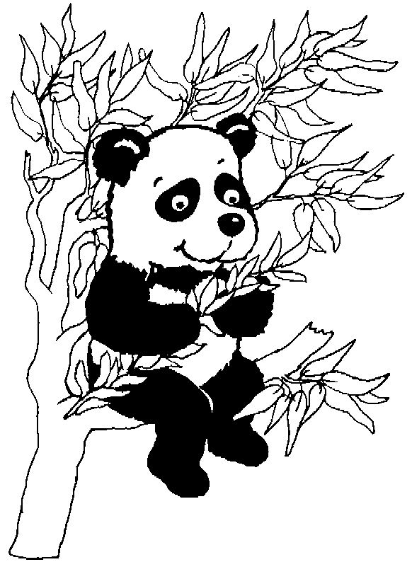 Panda On Tree Coloring Page