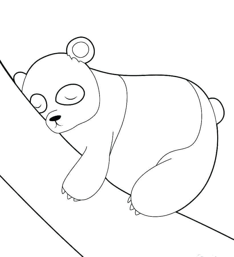 Panda Sleeping