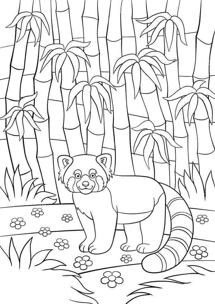 30 Free Panda Coloring Pages Printable