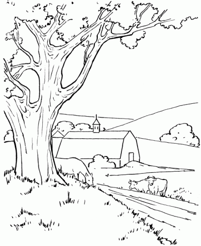 Coloring Pages Of Farm