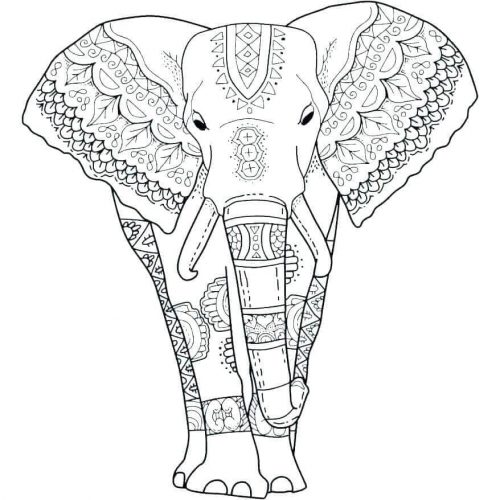 32 free elephant coloring pages printable