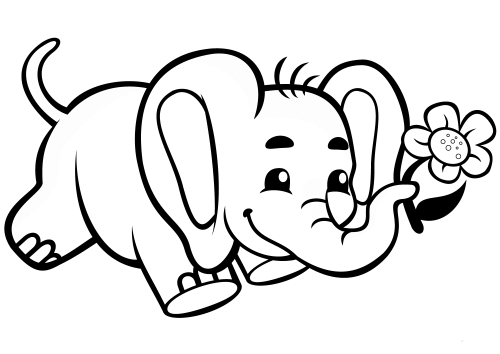 Elephant Coloring Pictures