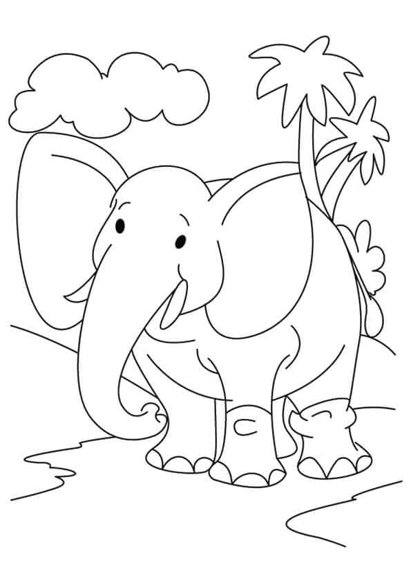 Elephant Coloring Pictures To Print