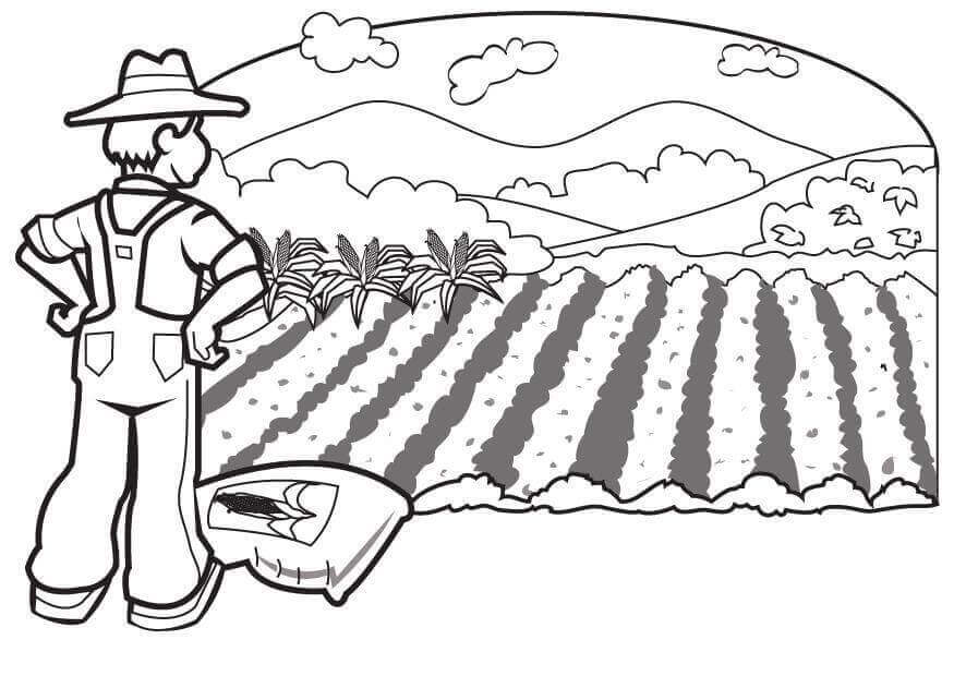 9-best-ideas-for-coloring-agriculture-coloring-page