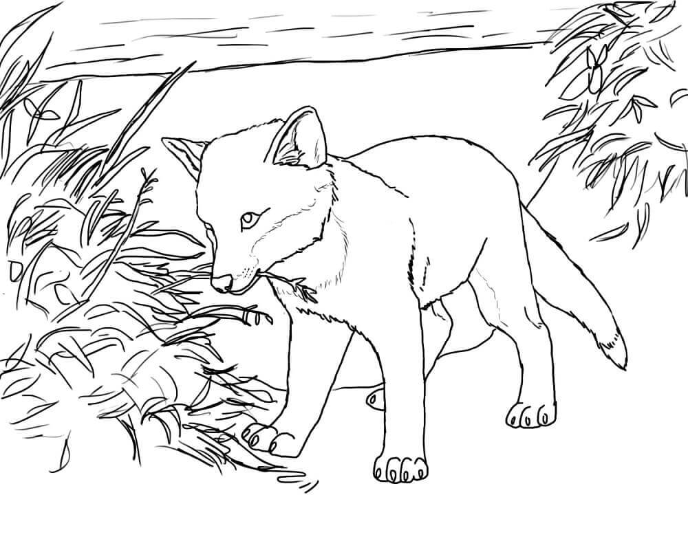 35 Free Fox Coloring Pages Printable