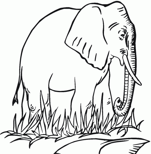 Free Printable Elephant Coloring Pages