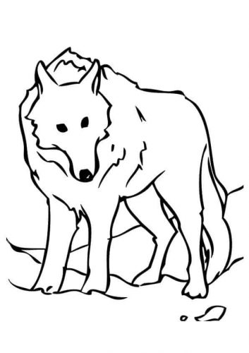 Free Printable Wolf Coloring Pages