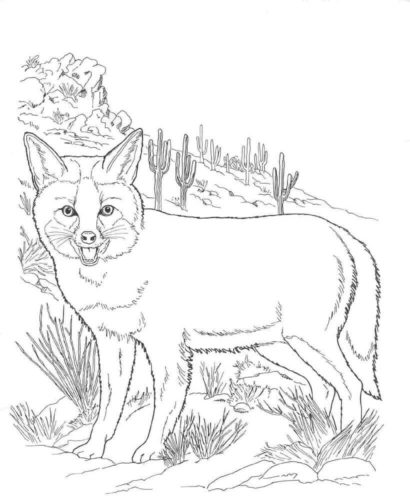 Realistic Fox Coloring Page