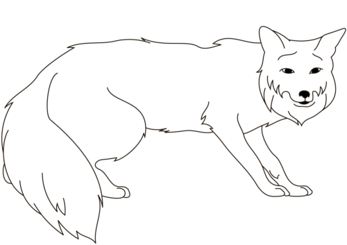 Red Fox Coloring Page For Preschoolers