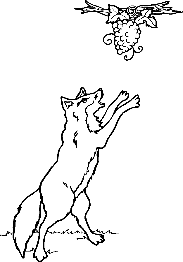 Wolf And Grapes