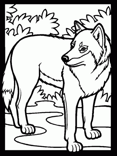 Wolf Coloring Sheets