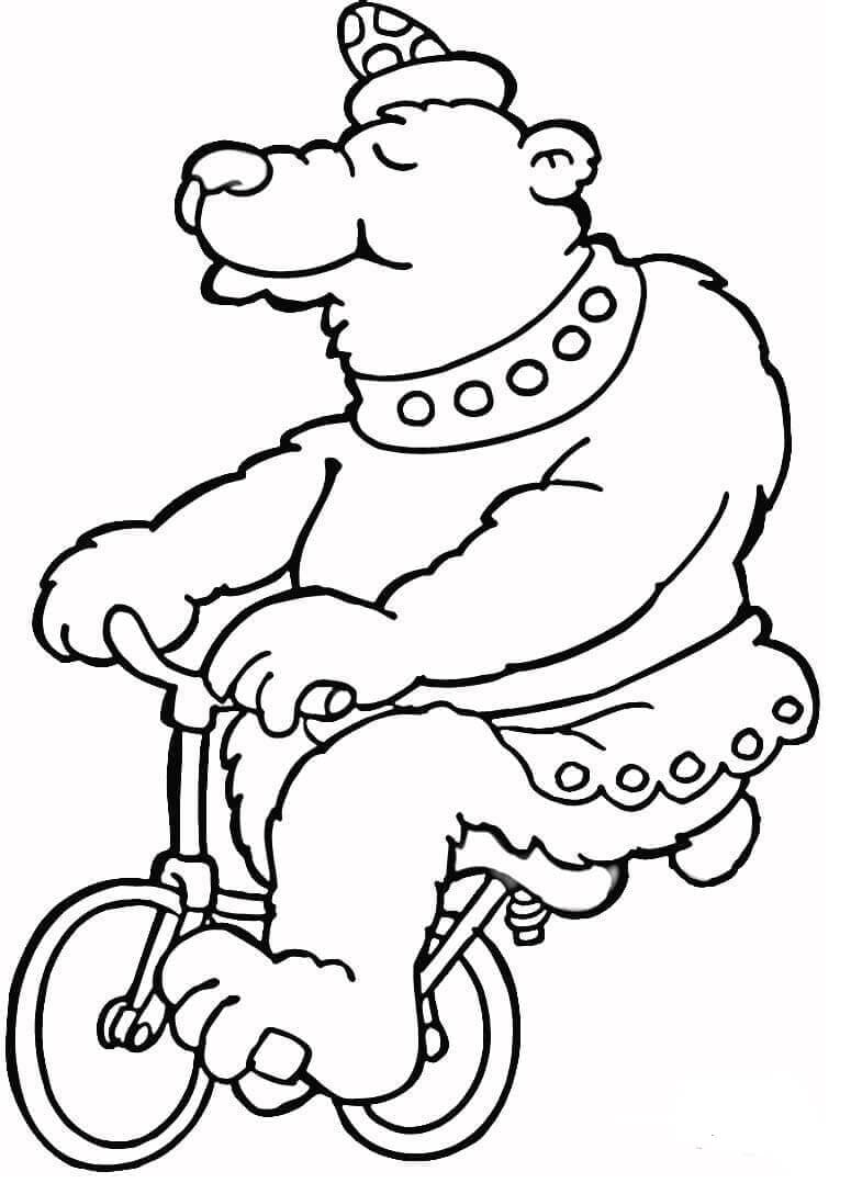 Bear Riding A Bicycle In Circus