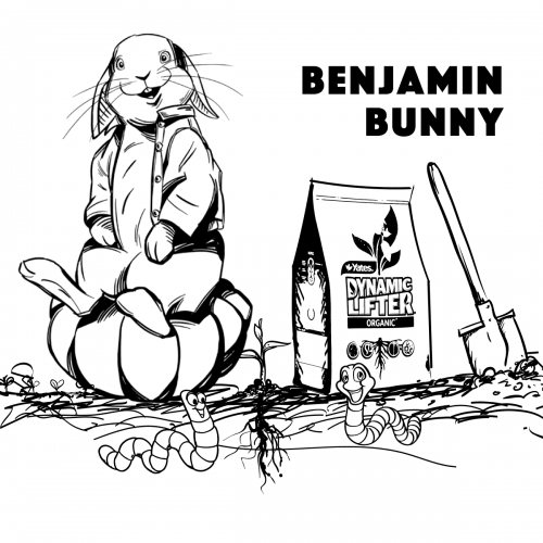 Benjamin Bunny Coloring Page