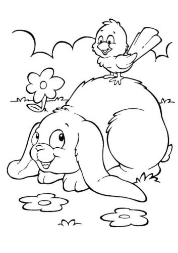 Bird on Bunny coloring page