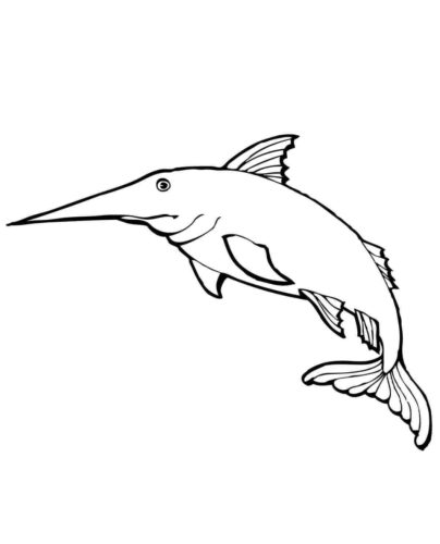 Blue Marlin Coloring Page