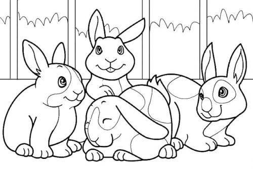 bunny coloring pages