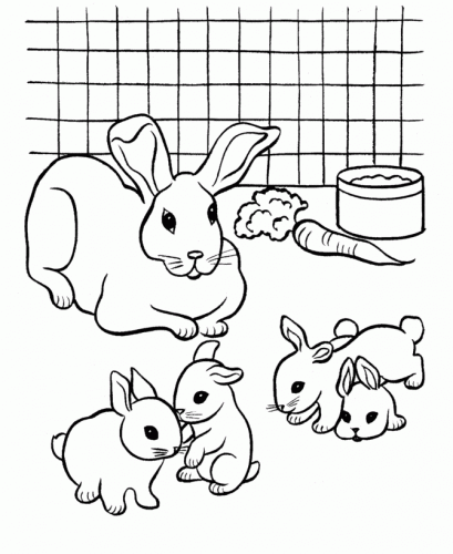 Bunnies Coloring Sheets