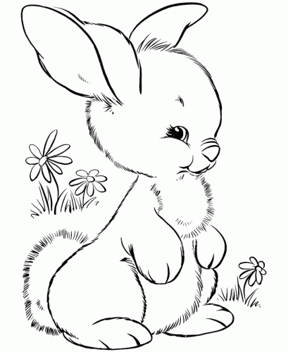 Bunny Colouring Pages Bunny Colouring Pages