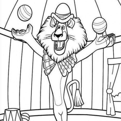Circus from Madagascar Film Circus from Madagascar Film