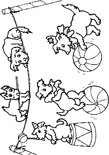 Coloring Pages Of Circus
