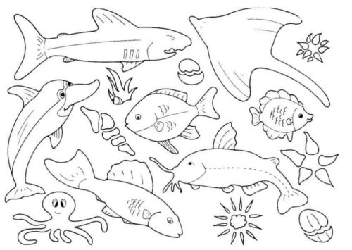 Coloring Pages Of Fish Coloring Pages Of Fish