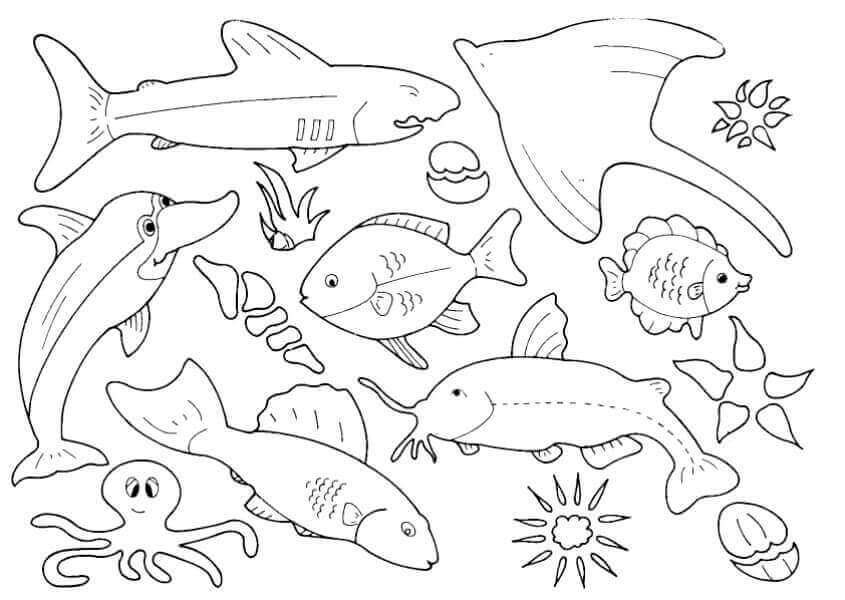 35 Free Fish Coloring Pages Printable