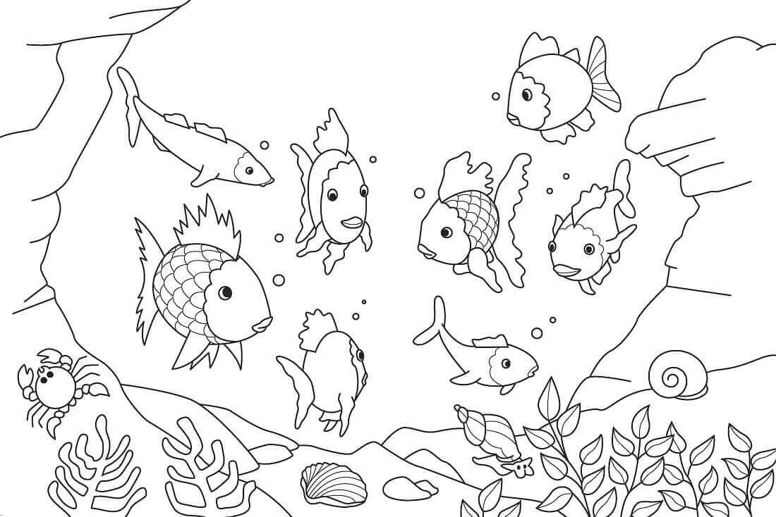 35 Free Fish Coloring Pages Printable