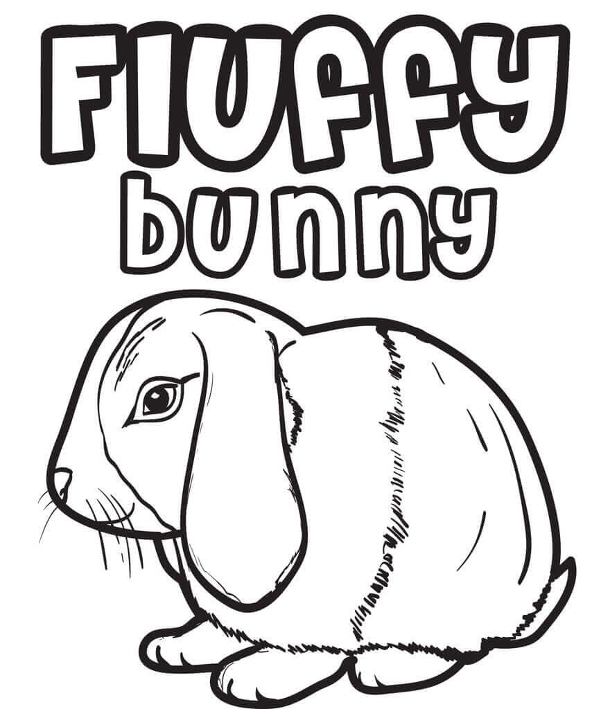 Fluffy Bunny Coloring Page