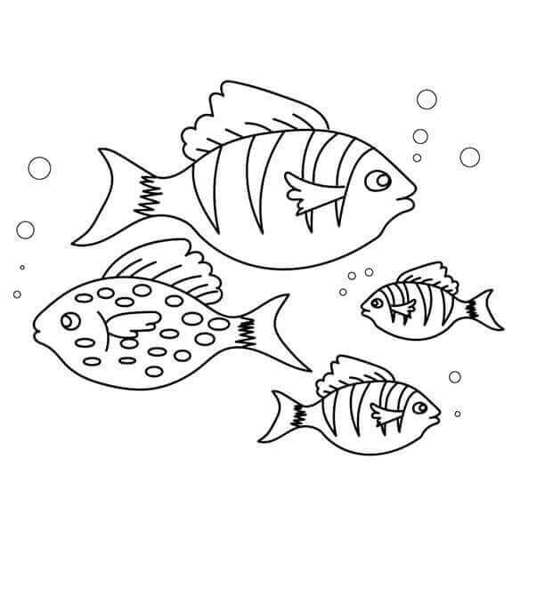 35 Free Fish Coloring Pages Printable