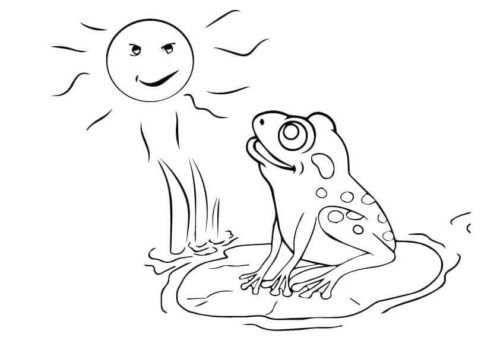 Frog Enjoying Summer