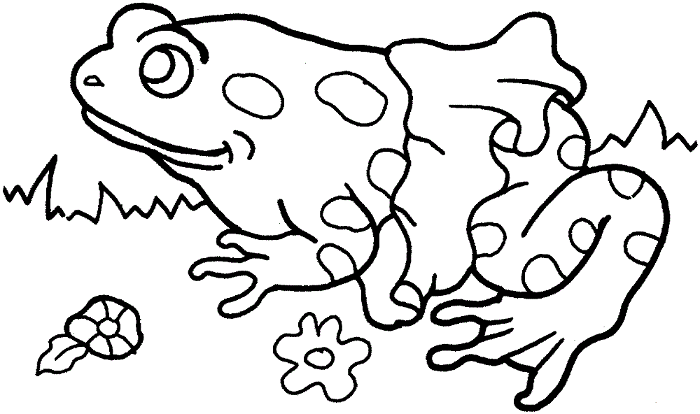 Frogs Coloring Sheets