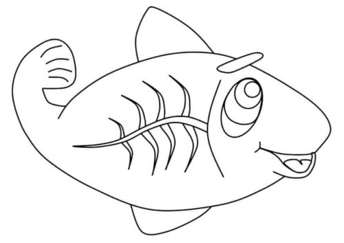 X Ray Fish Coloring Page X Ray Fish Coloring Page