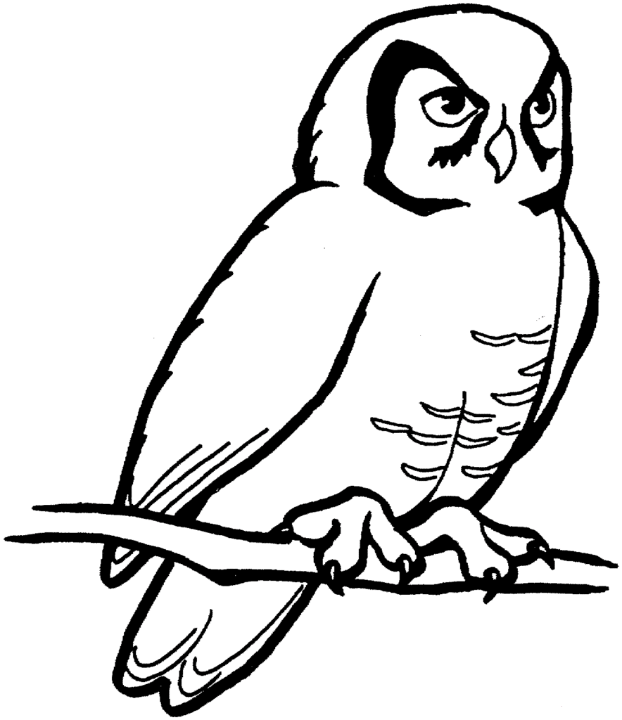 35 Free Owl Coloring Pages Printable