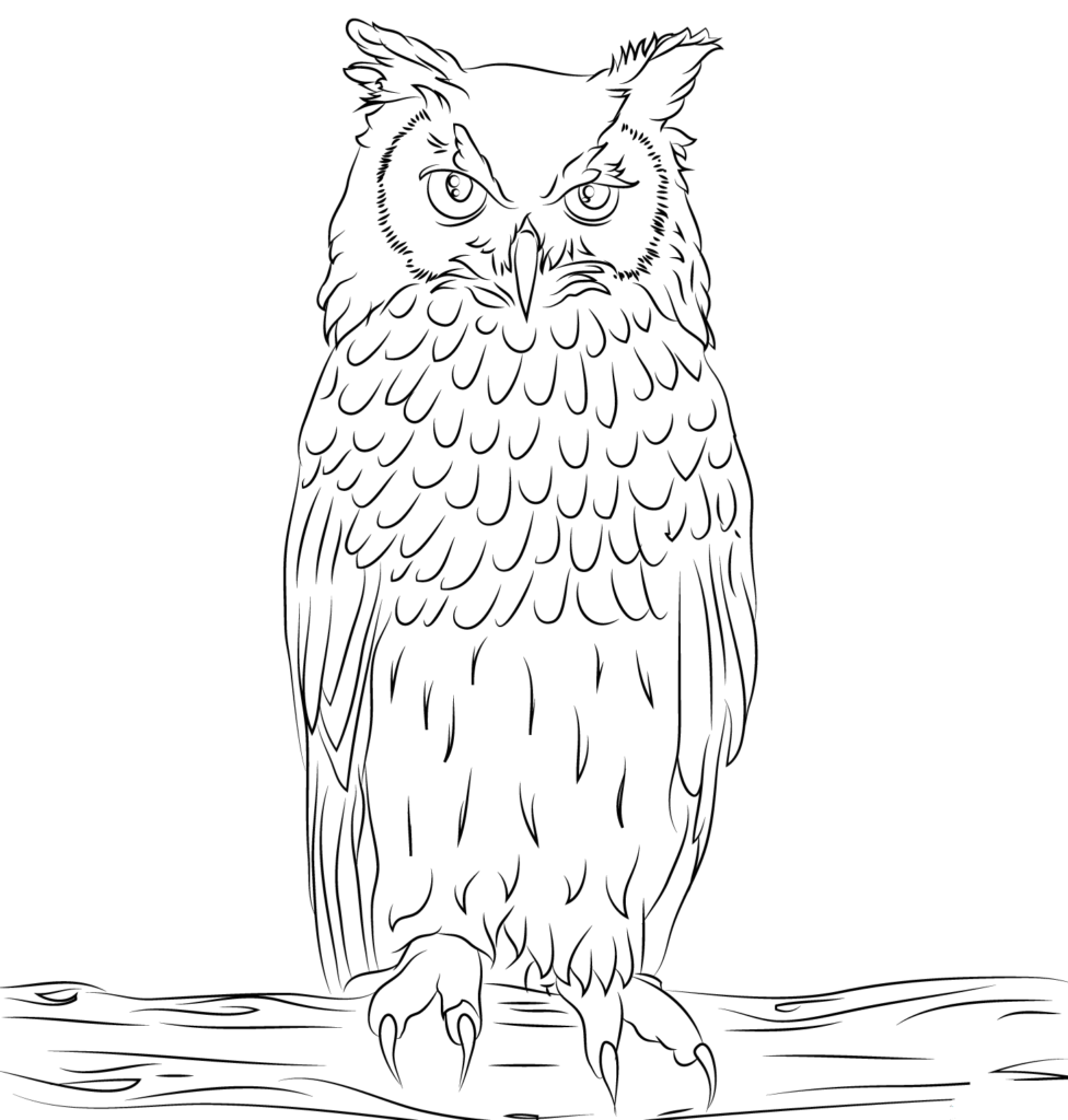 35 Free Owl Coloring Pages Printable