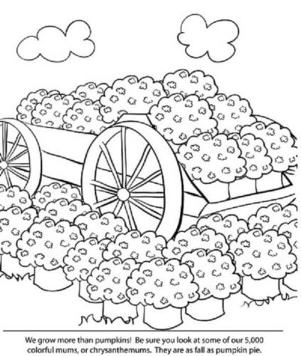 Coloring Pages Of Pumpkin Farm