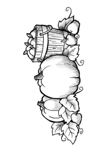 Free Printable Pumpkin Patch Coloring Pages Free Printable Pumpkin Patch Coloring Pages