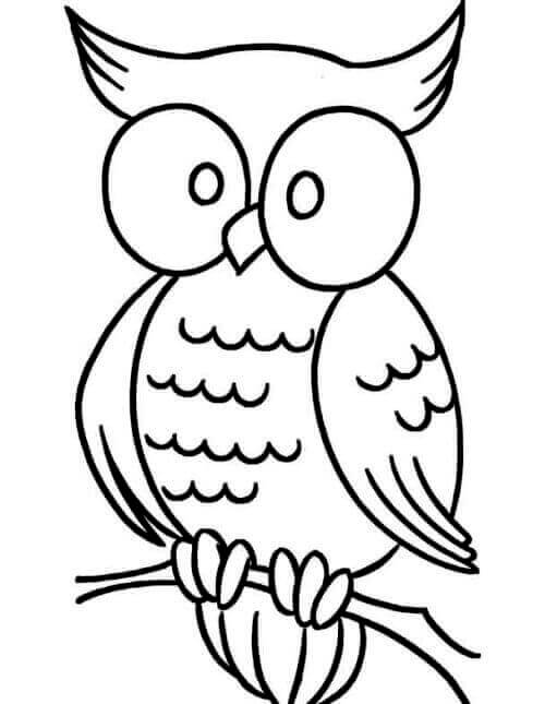 35 Free Owl Coloring Pages Printable