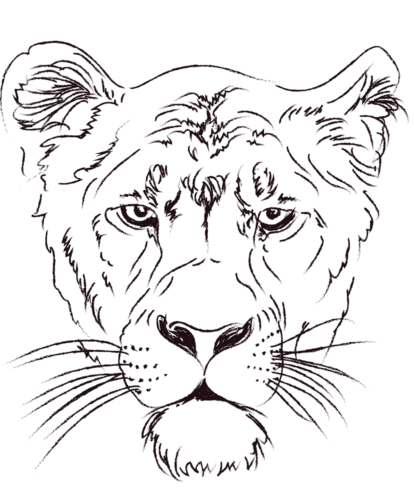 Lioness Head Coloring Page