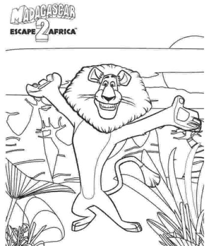 Madagascar Lion