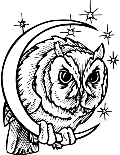 Night Owl Coloring Page