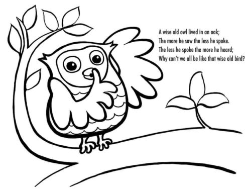 Owl Coloring Pages